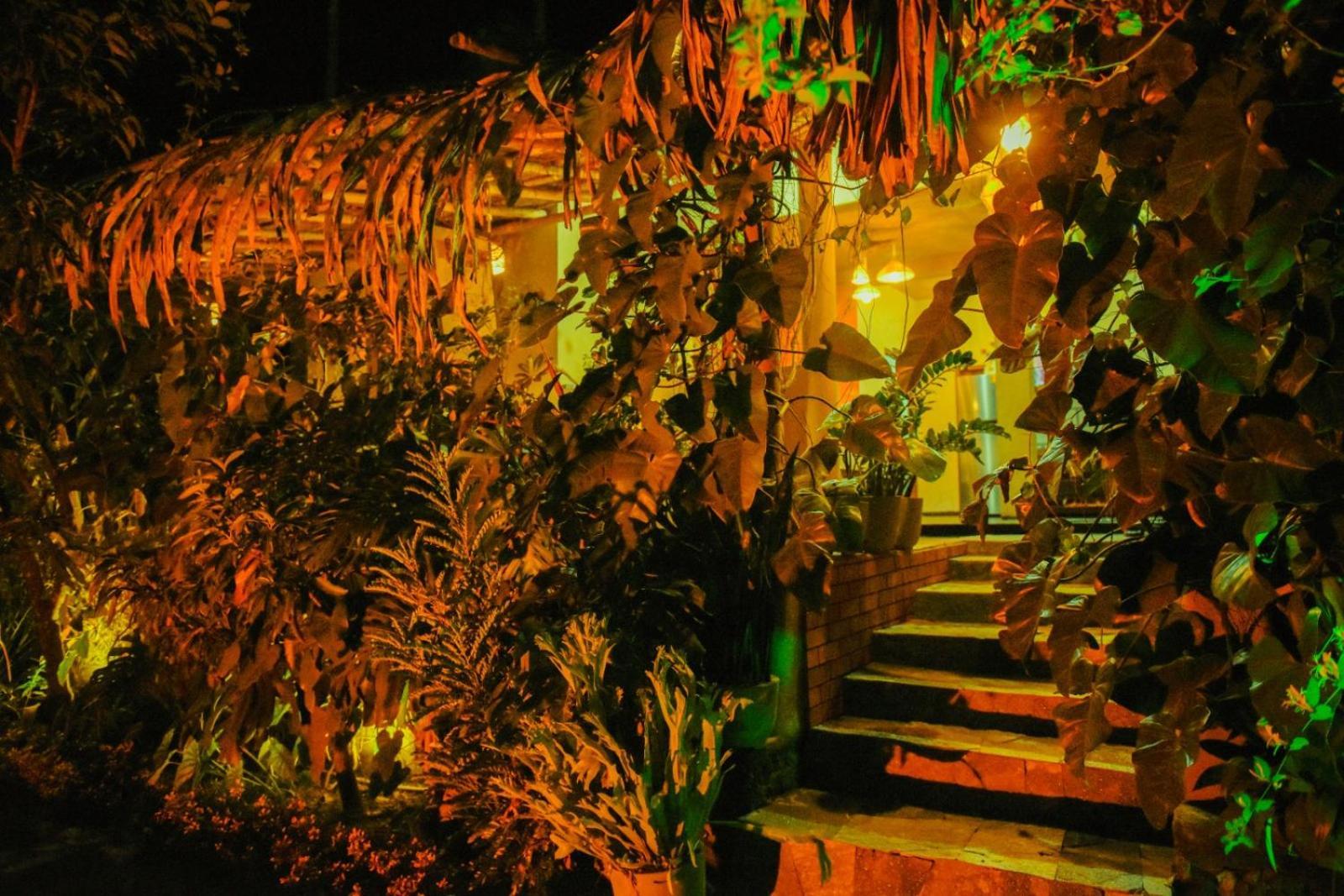 Готель Ella Brown House Екстер'єр фото